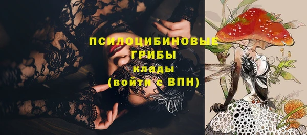 PSILOCYBIN Магадан