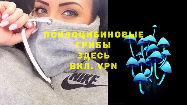 бошки Алзамай