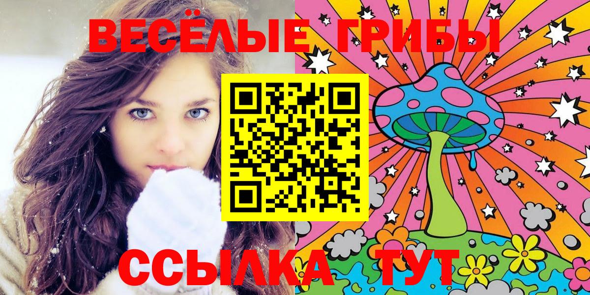 Чусовой  Галлюциногенные грибы Magic Shrooms  Вход с VPN 