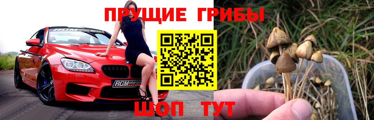 Галлюциногенные грибы Psilocybe Чусовой